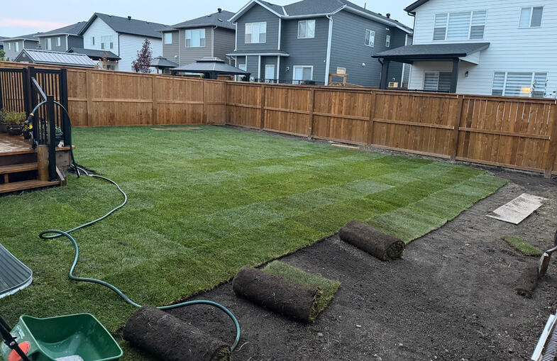 New Sod install New Sod install