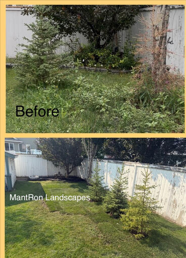 Renovated Lawn Renovated Lawn