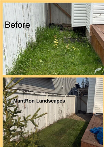 Replaced with New Sod