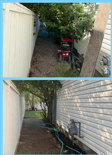 Pruned trees