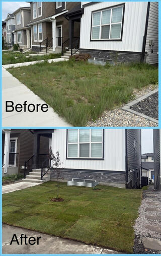Weed to sod