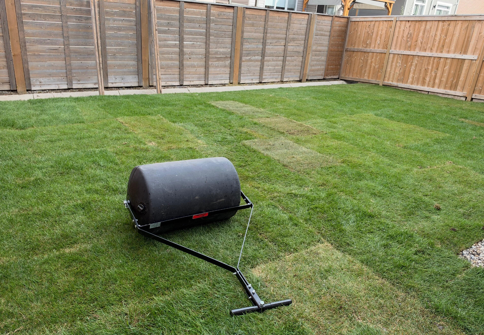 Compact the New sod